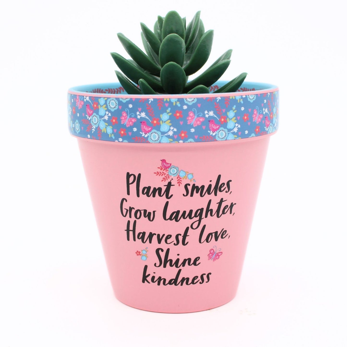 Love Plants Plant, Grow, Harvest, Shine Pink Painted Terracotta Plant Pot Gift