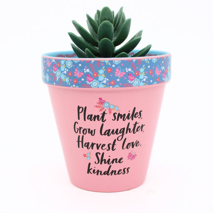 Love Plants Plant, Grow, Harvest, Shine Pink Painted Terracotta Plant Pot Gift