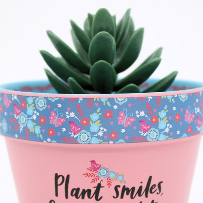 Love Plants Plant, Grow, Harvest, Shine Pink Painted Terracotta Plant Pot Gift