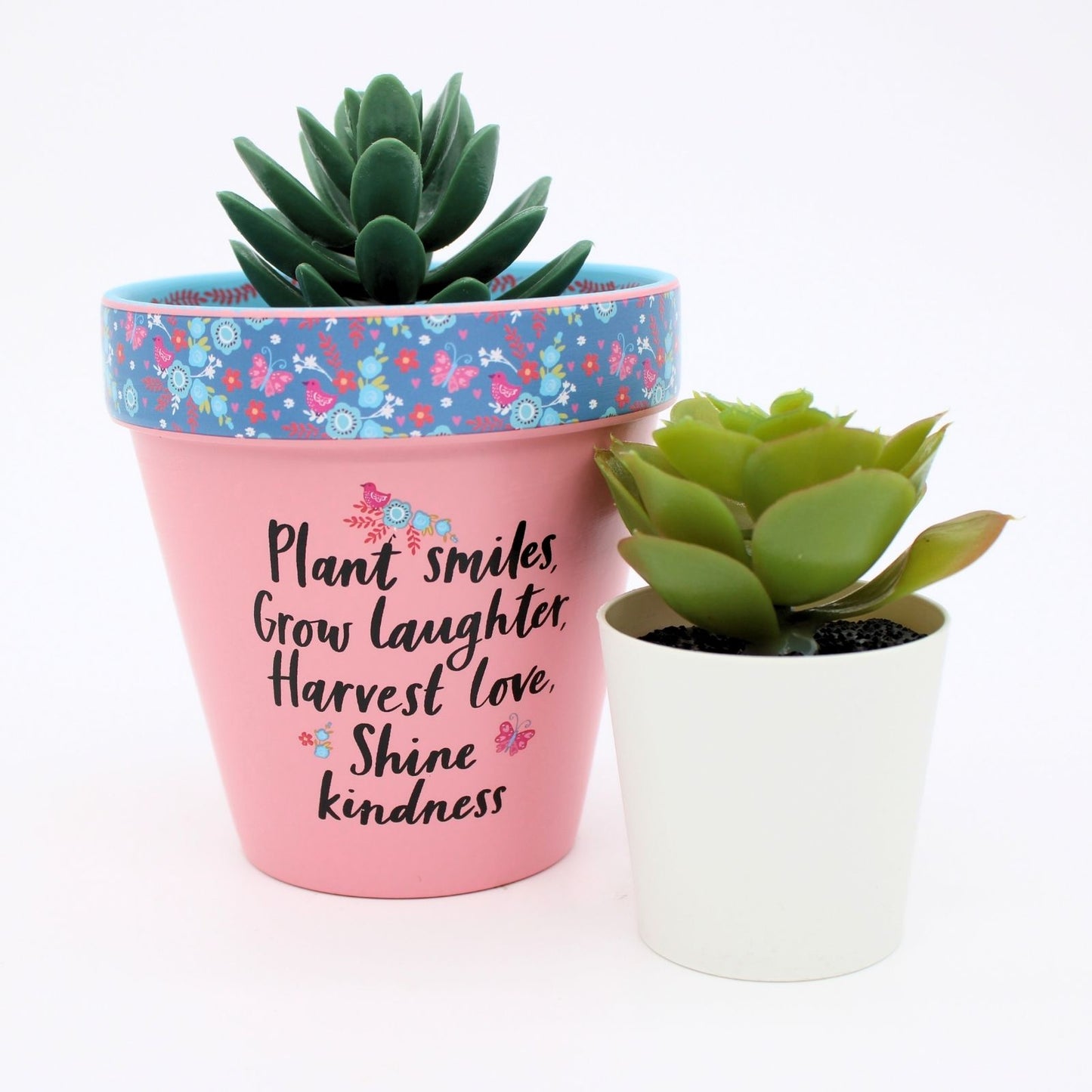 Love Plants Plant, Grow, Harvest, Shine Pink Painted Terracotta Plant Pot Gift