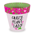 Love Plants Crazy Plant Lady Painted Terracotta Plant Pot Fun Gift Idea