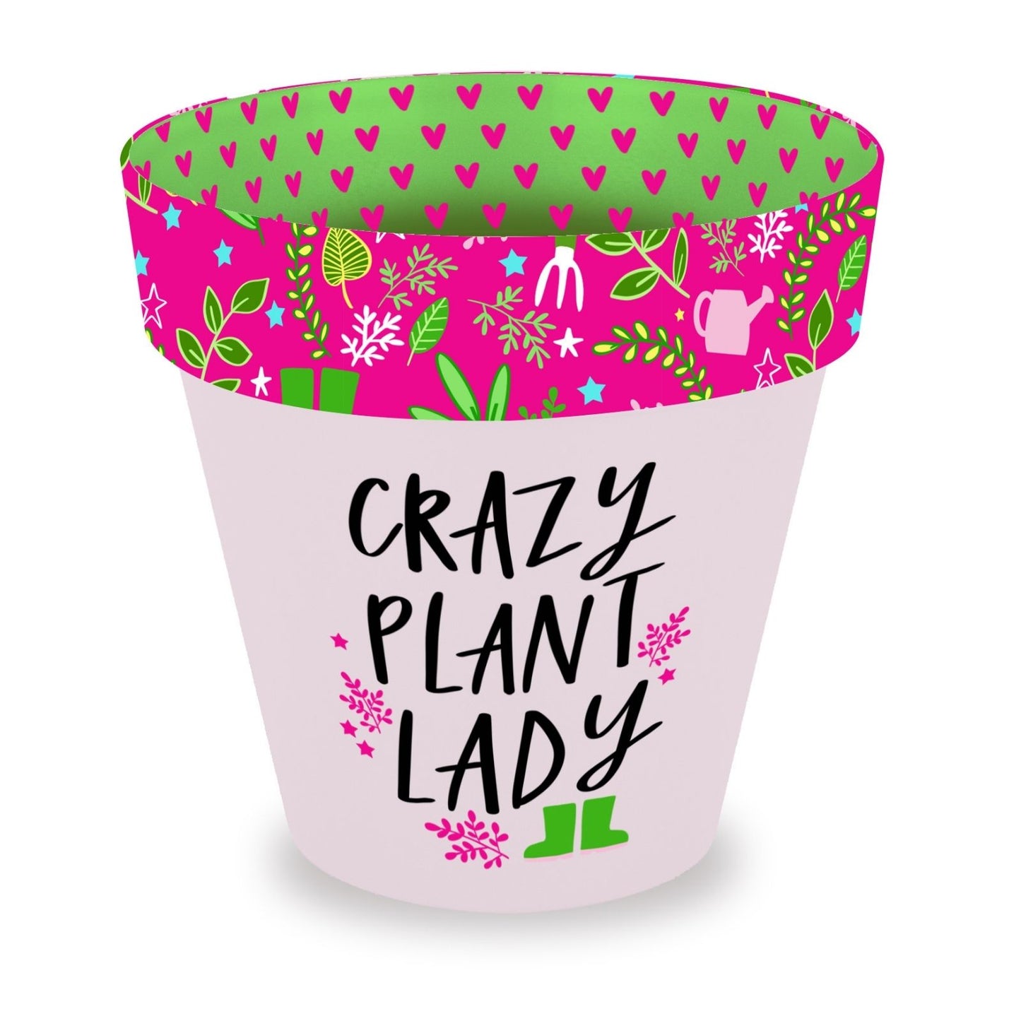 Love Plants Crazy Plant Lady Painted Terracotta Plant Pot Fun Gift Idea