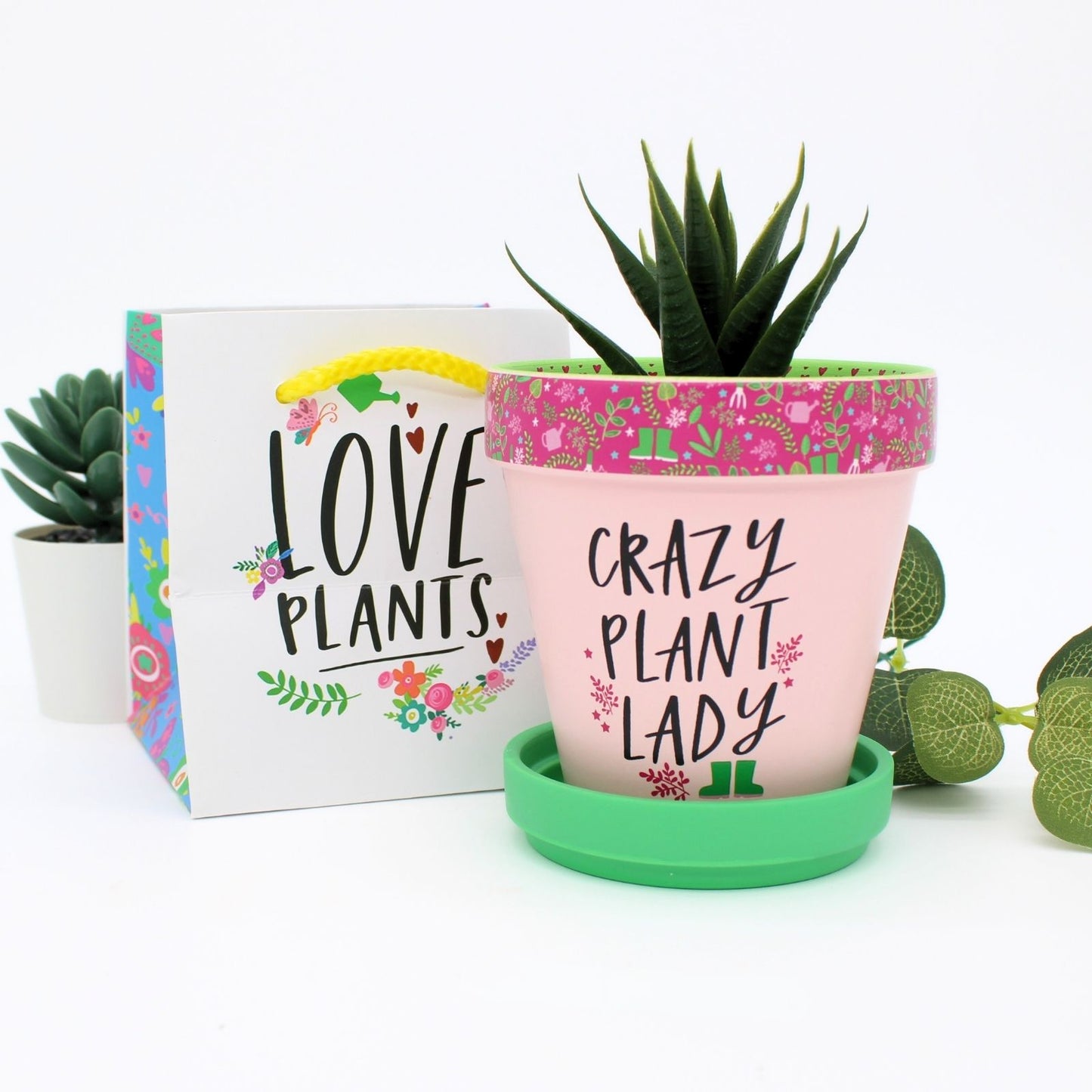 Love Plants Crazy Plant Lady Painted Terracotta Plant Pot Fun Gift Idea