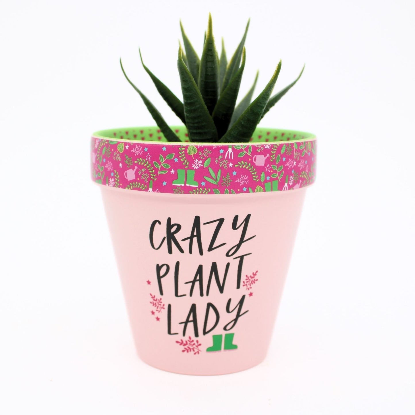 Love Plants Crazy Plant Lady Painted Terracotta Plant Pot Fun Gift Idea