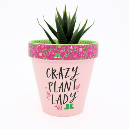 Love Plants Crazy Plant Lady Painted Terracotta Plant Pot Fun Gift Idea