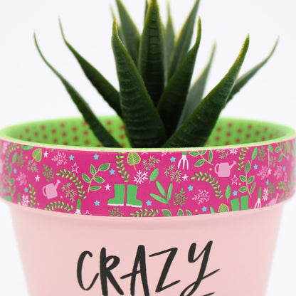 Love Plants Crazy Plant Lady Painted Terracotta Plant Pot Fun Gift Idea