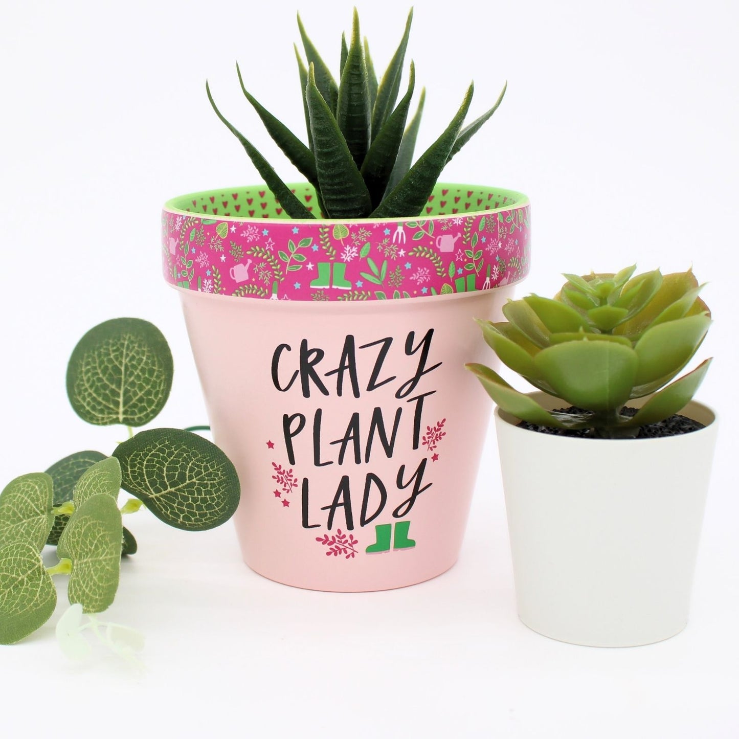 Love Plants Crazy Plant Lady Painted Terracotta Plant Pot Fun Gift Idea