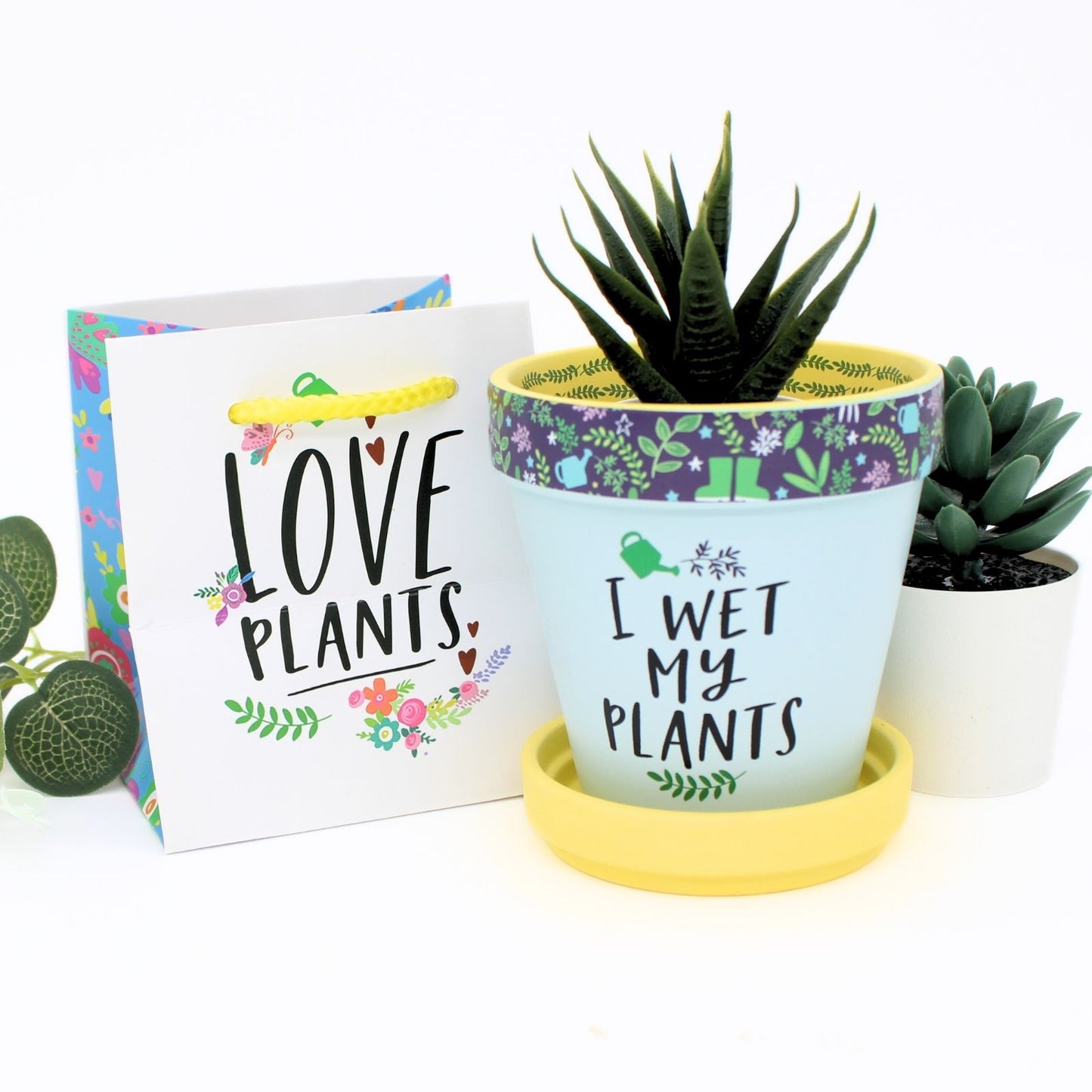 Love Plants I Wet My Plants Painted Terracotta Plant Pot Funny Gift Idea