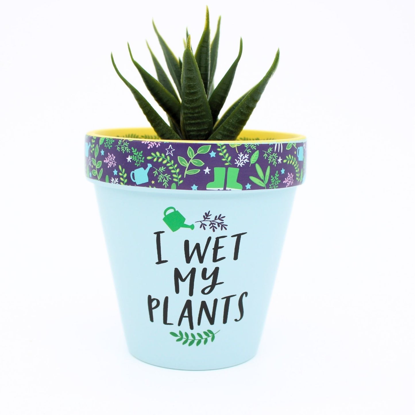 Love Plants I Wet My Plants Painted Terracotta Plant Pot Funny Gift Idea