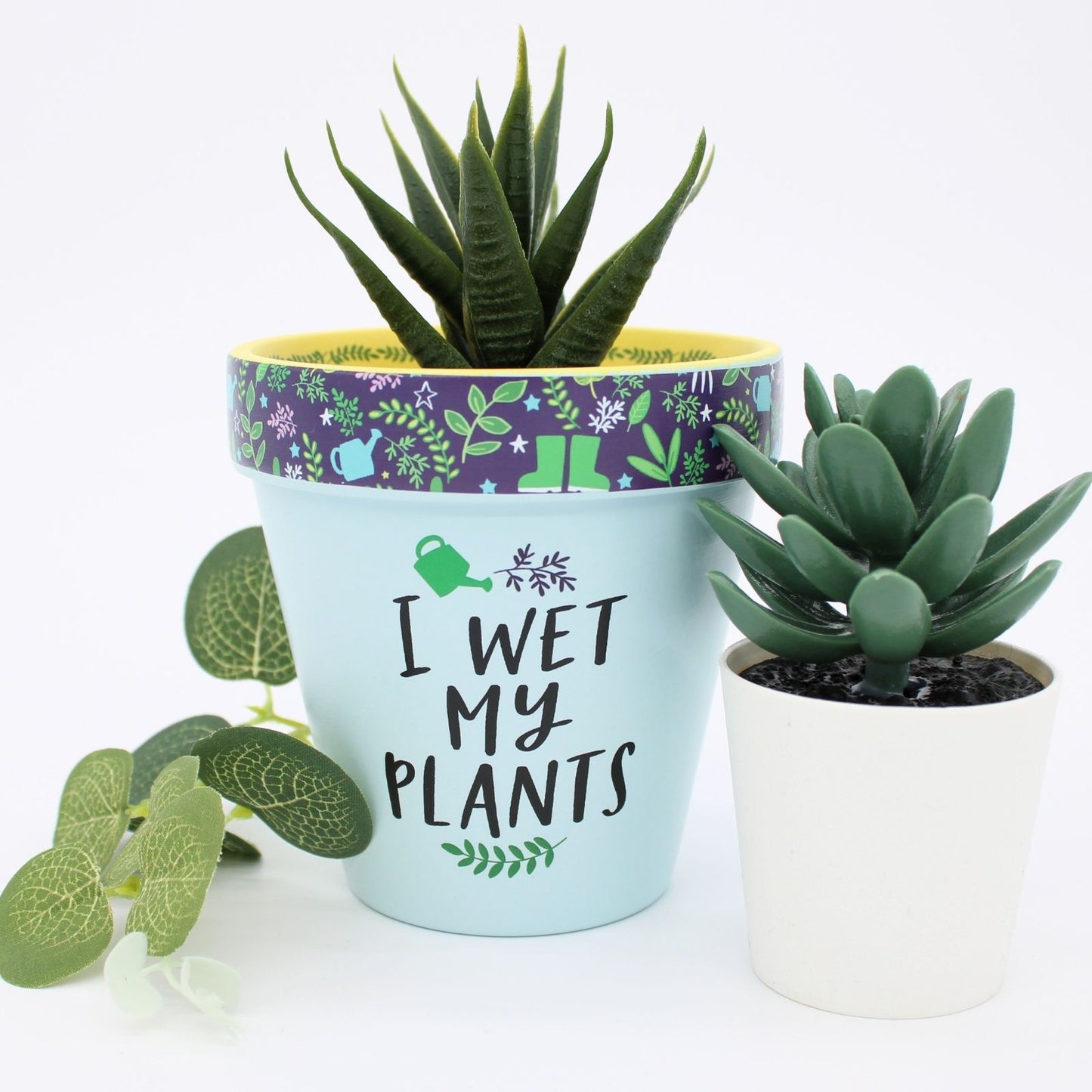 Love Plants I Wet My Plants Painted Terracotta Plant Pot Funny Gift Idea