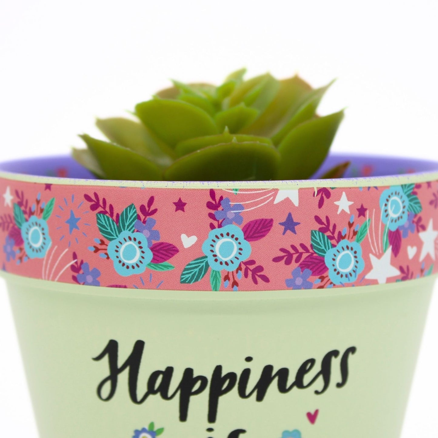 Love Plants Happiness Is Watching Your Plants Grow Painted Terracotta Plant Pot