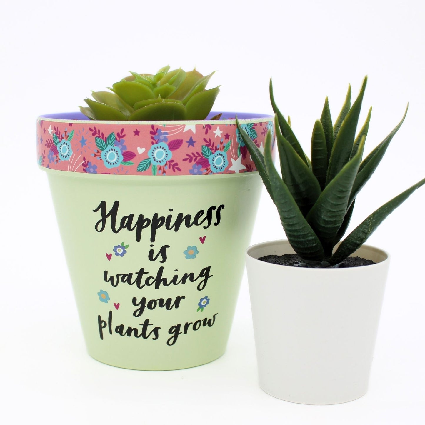 Love Plants Happiness Is Watching Your Plants Grow Painted Terracotta Plant Pot