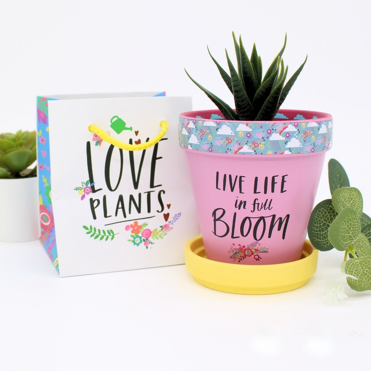 Love Plants Live Life In Full Bloom Painted Terracotta Plant Pot Gift Idea