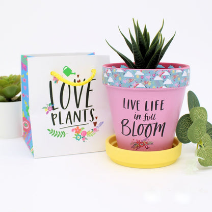 Love Plants Live Life In Full Bloom Painted Terracotta Plant Pot Gift Idea