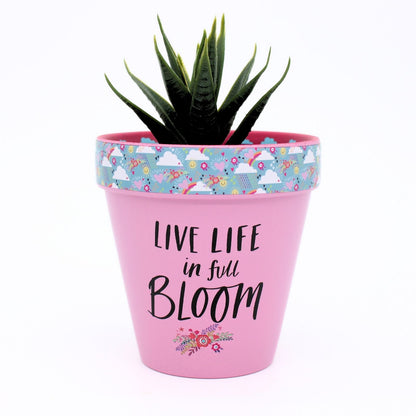 Love Plants Live Life In Full Bloom Painted Terracotta Plant Pot Gift Idea