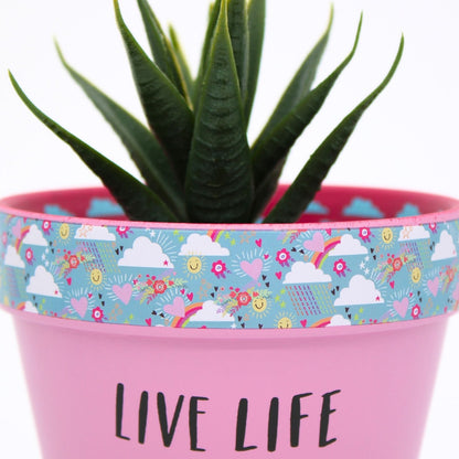 Love Plants Live Life In Full Bloom Painted Terracotta Plant Pot Gift Idea