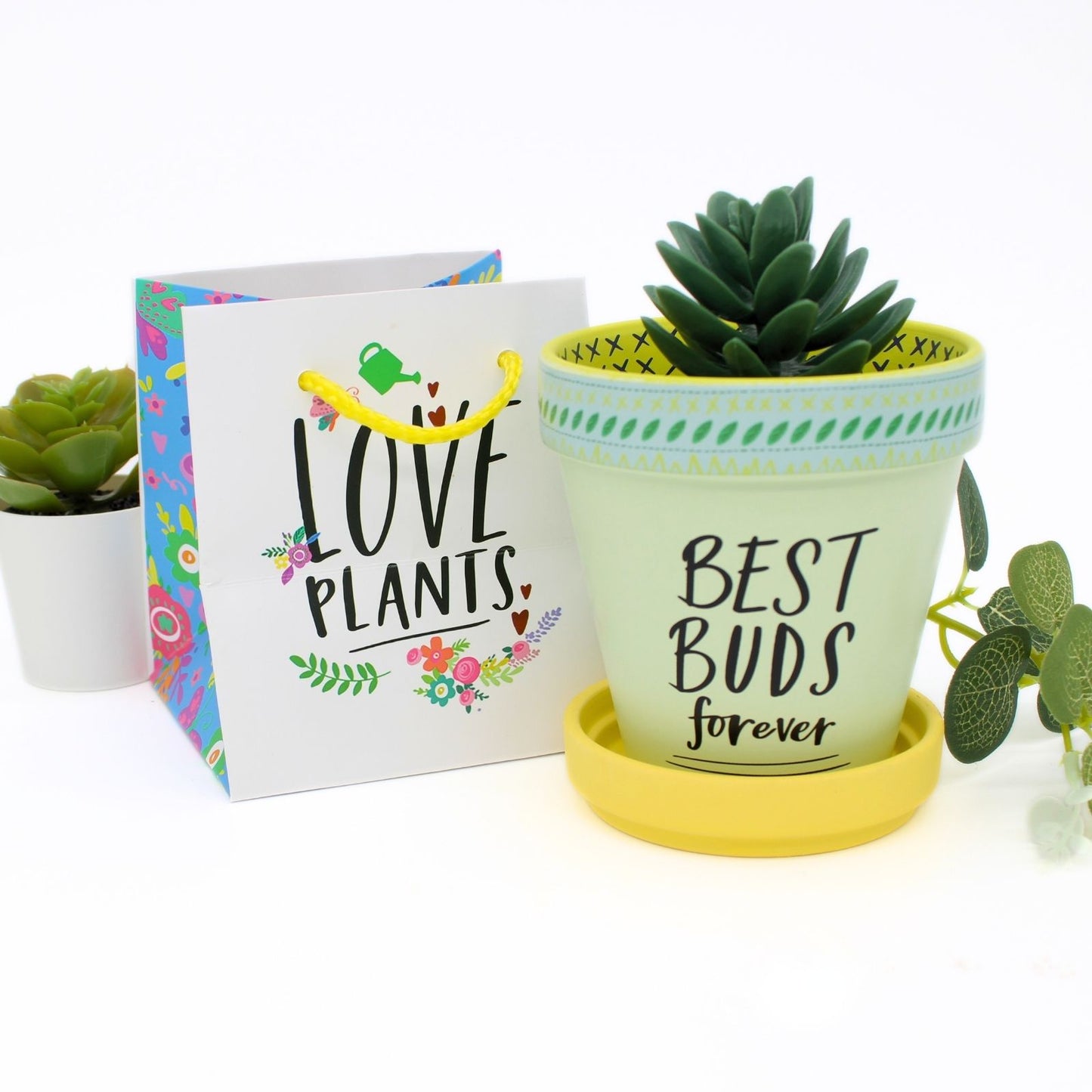 Love Plants Best Buds Forever Green Painted Terracotta Plant Pot Gift Idea