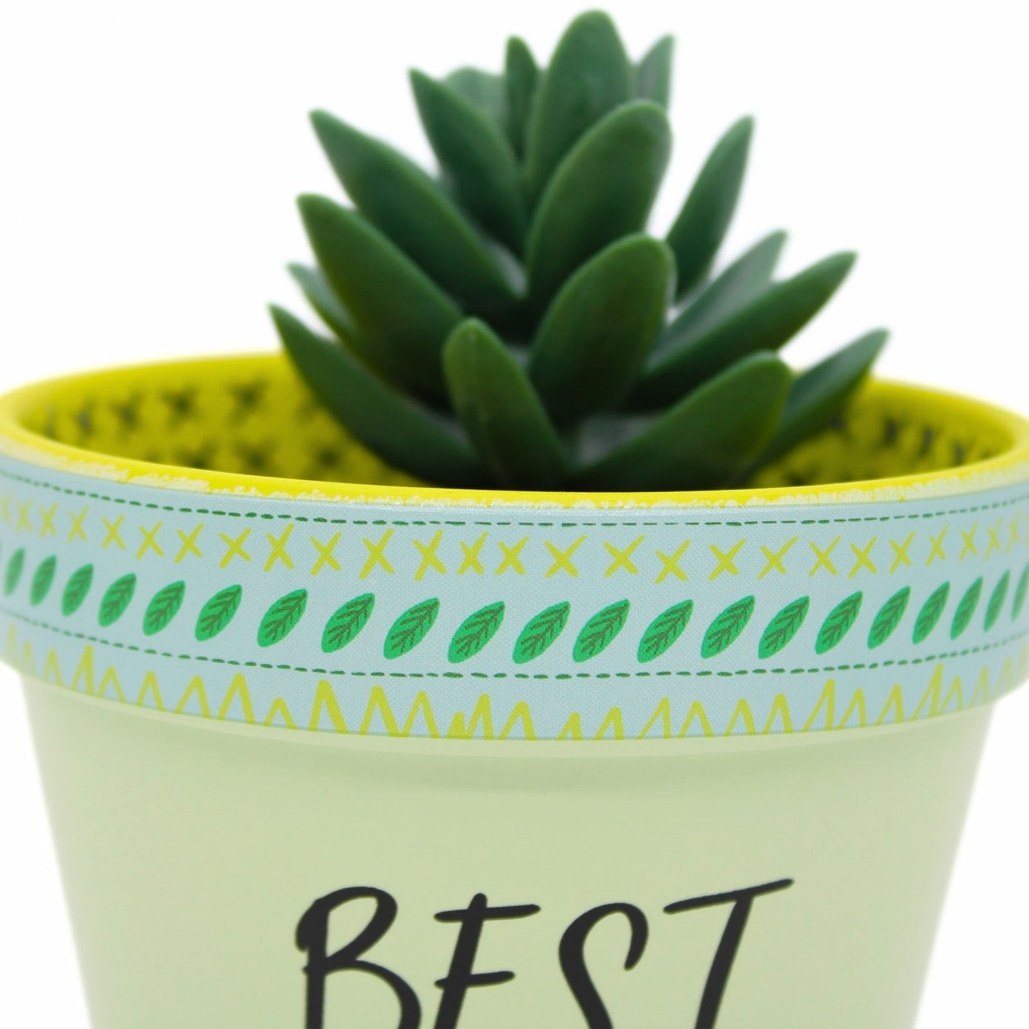 Love Plants Best Buds Forever Green Painted Terracotta Plant Pot Gift Idea