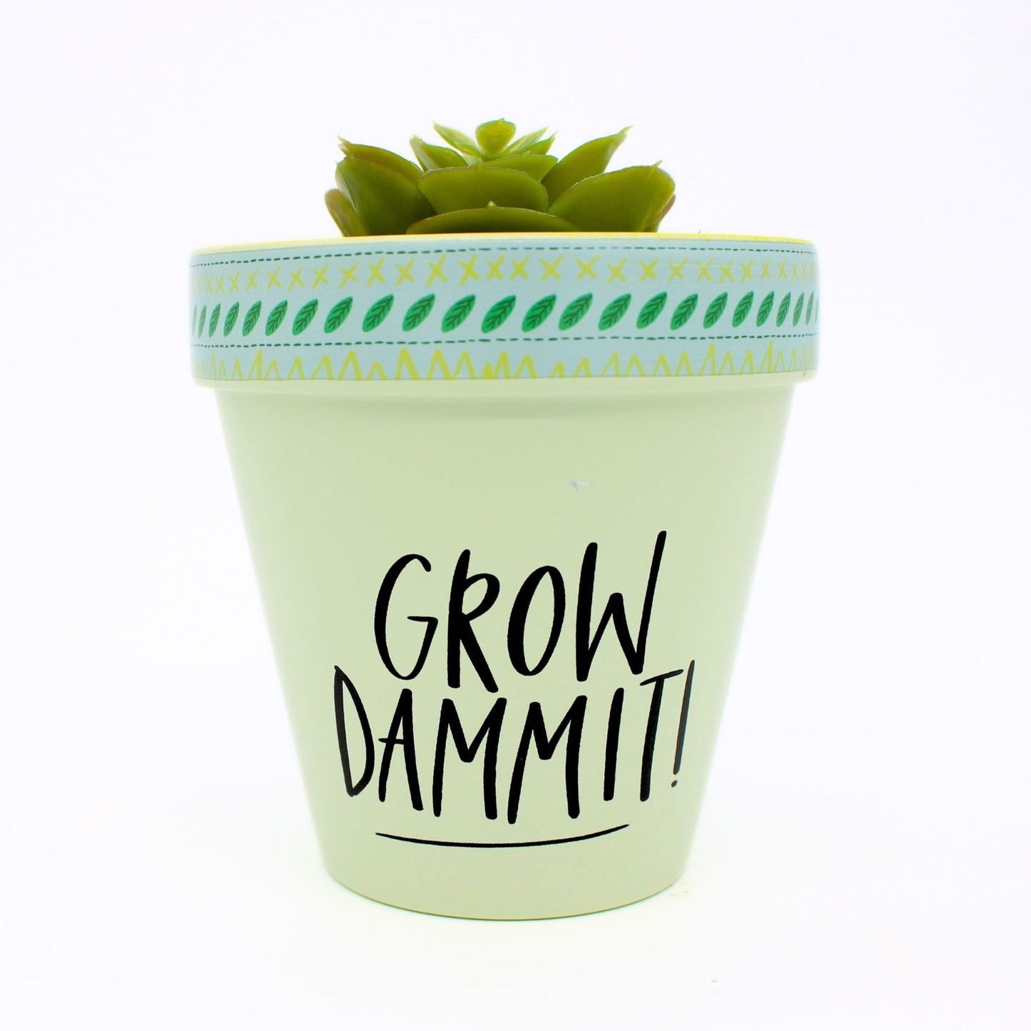 Love Plants Grow Dammit! Green Painted Terracotta Plant Pot Gift Idea