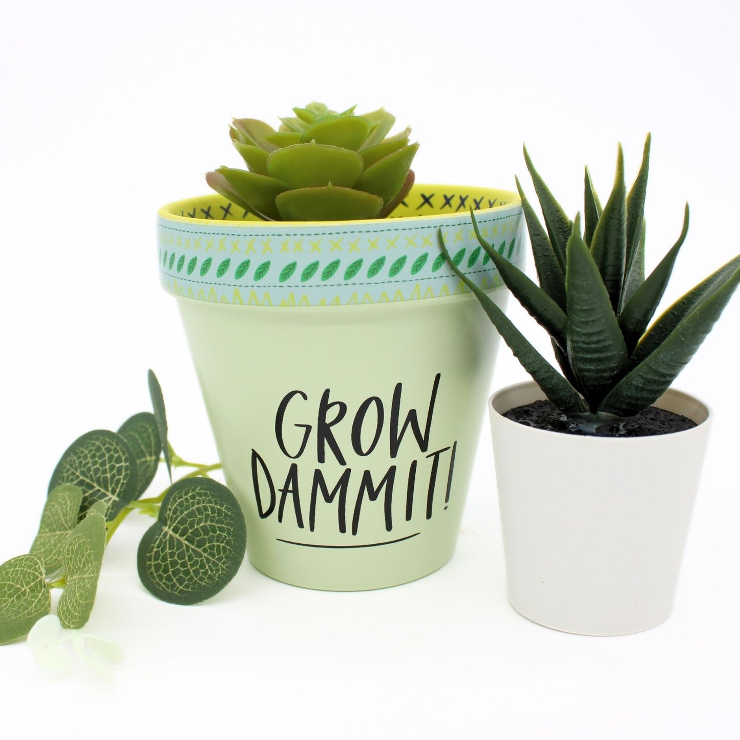 Love Plants Grow Dammit! Green Painted Terracotta Plant Pot Gift Idea