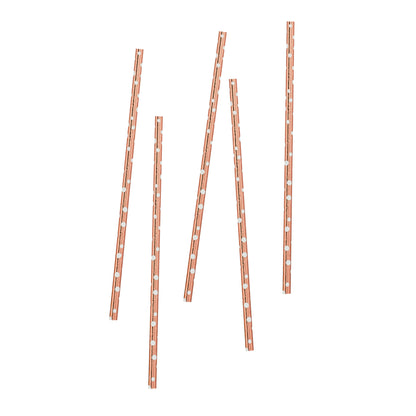 Hootyballoo 20 Pack Rose Gold Dot Paper Straws Party Tableware Partyware