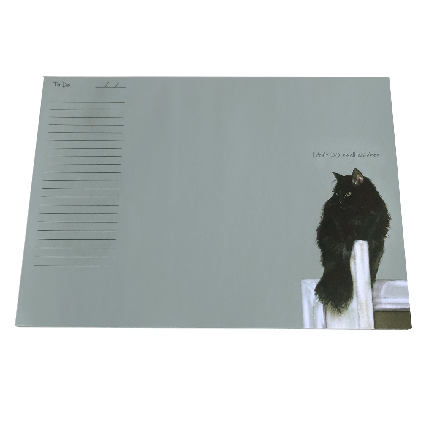Desk Jotter Fluffy Cat I Don't DO Small Children Little Dog Laughed