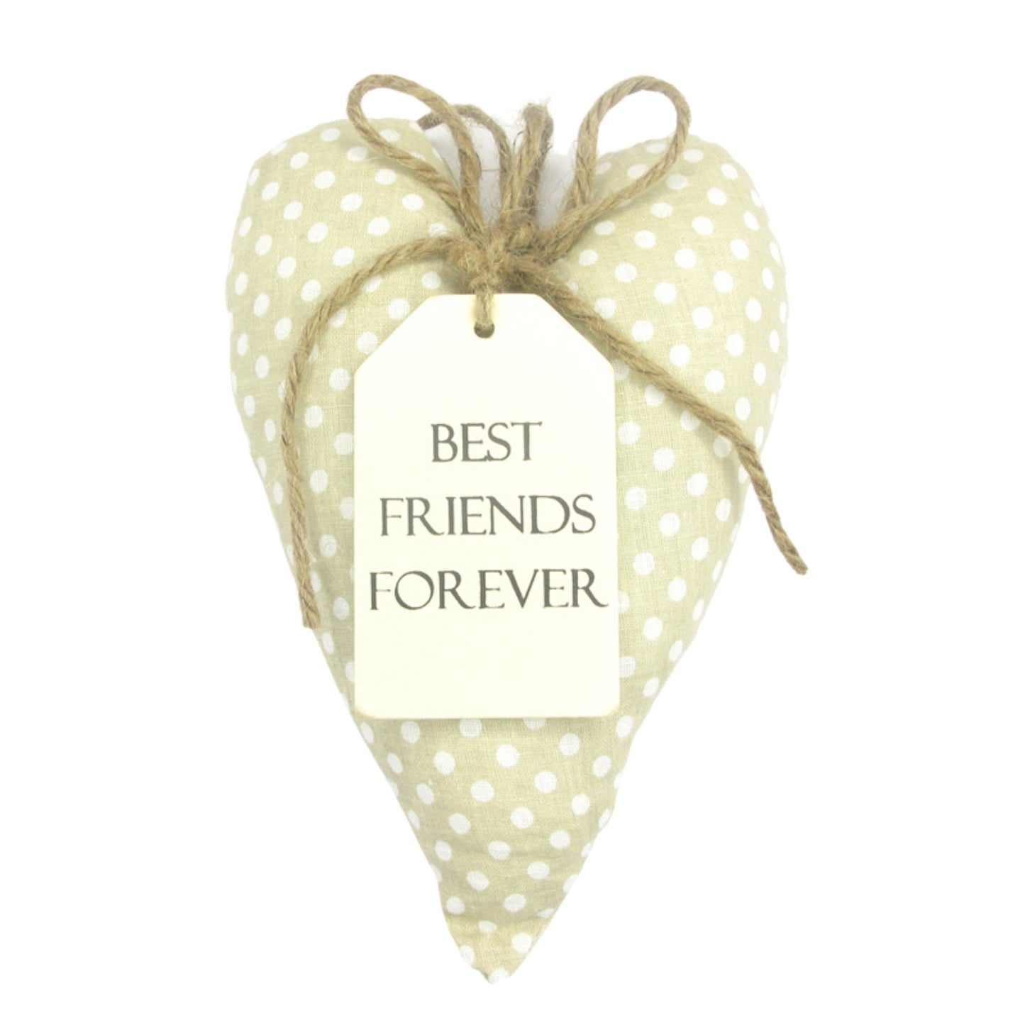 Best Friends Forever Sentiments From The Heart Hanging Cushion