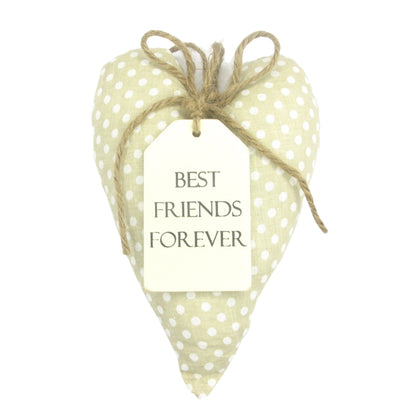 Best Friends Forever Sentiments From The Heart Hanging Cushion