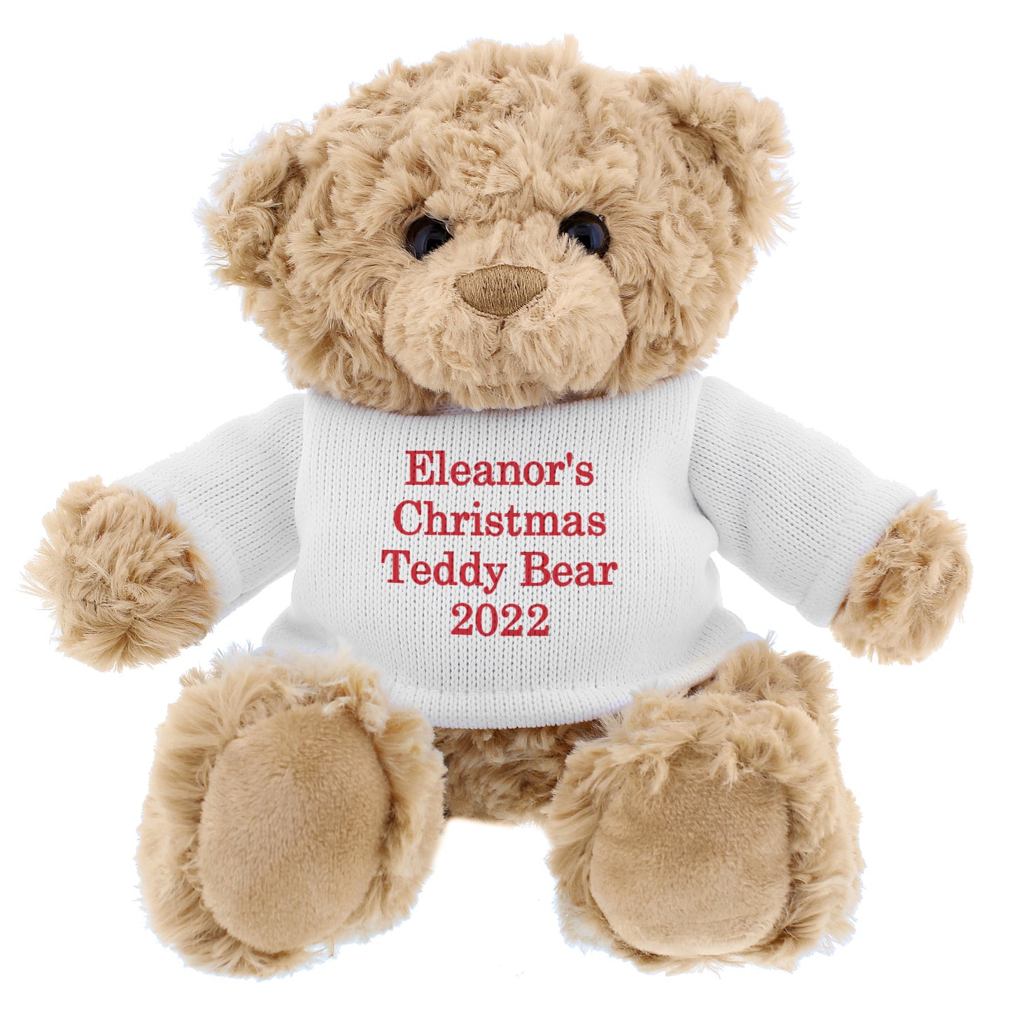 Personalised Christmas Message Teddy Bear - Personalise It!