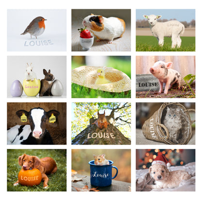 Personalised Cute Animals Desk Calendar - Personalise It!