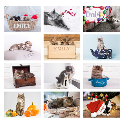 Personalised Cats and Kittens Desk Calendar - Personalise It!