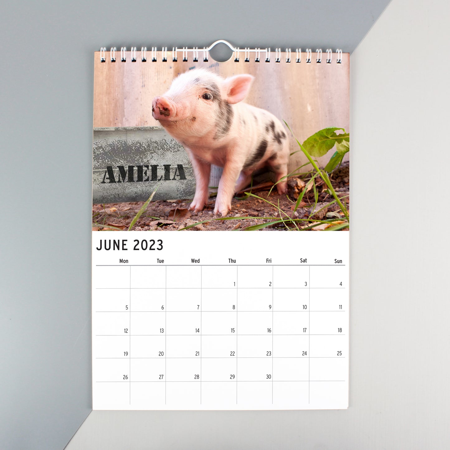 Personalised A4 Cute Animals Calendar - Personalise It!