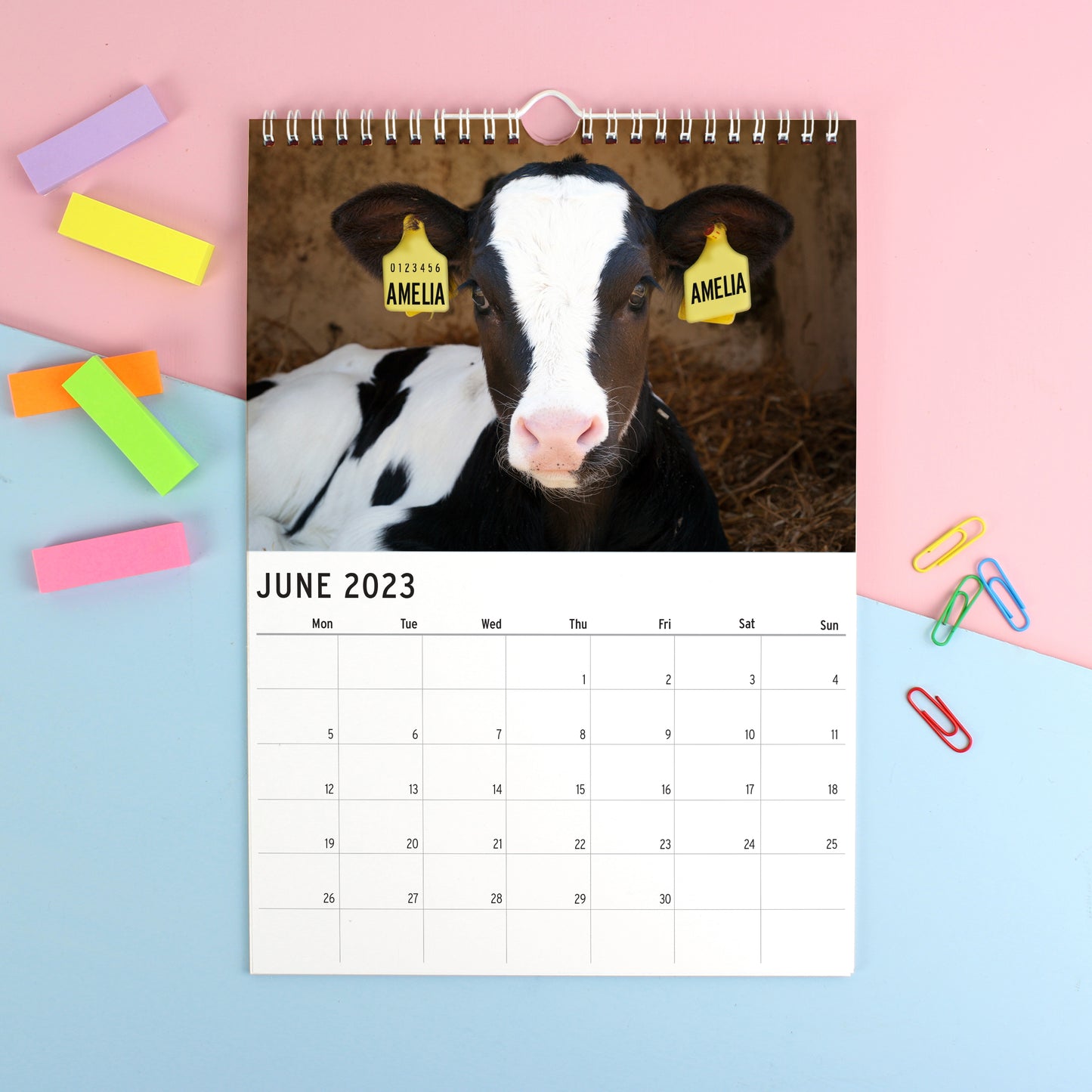 Personalised A4 Cute Animals Calendar - Personalise It!