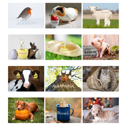 Personalised A4 Cute Animals Calendar - Personalise It!