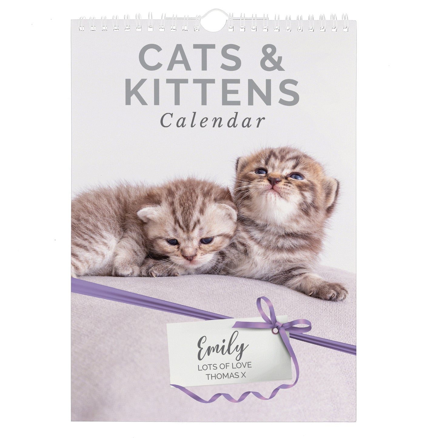 Personalised A4 Cats & Kittens Calendar - Personalise It!