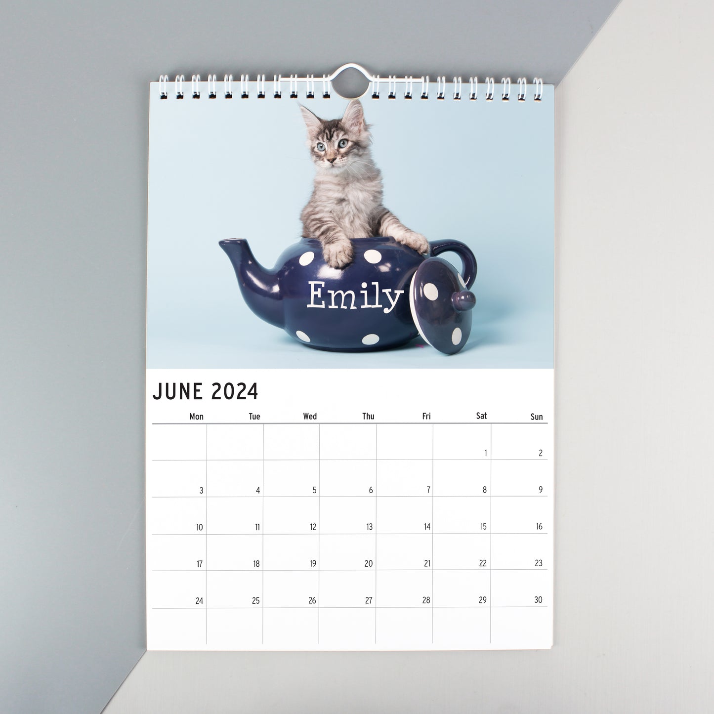 Personalised A4 Cats & Kittens Calendar - Personalise It!
