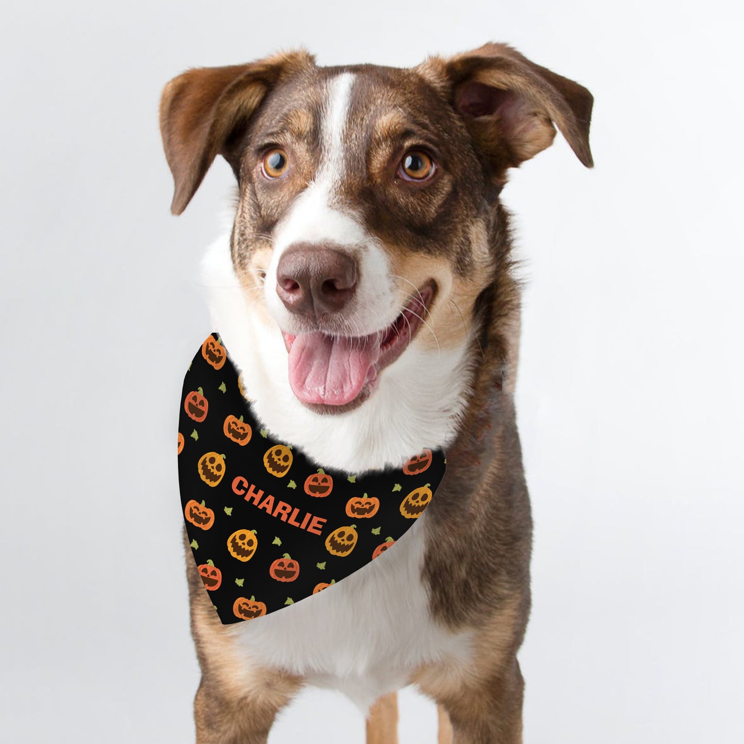 Personalised Pumpkin Patch Dog Bandana - Personalise It!