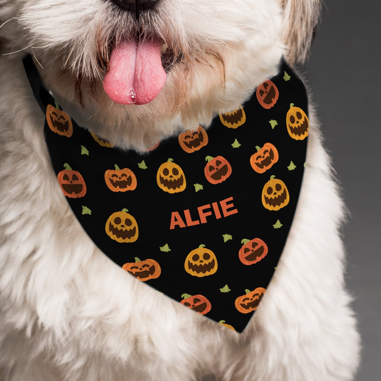Personalised Pumpkin Patch Dog Bandana - Personalise It!