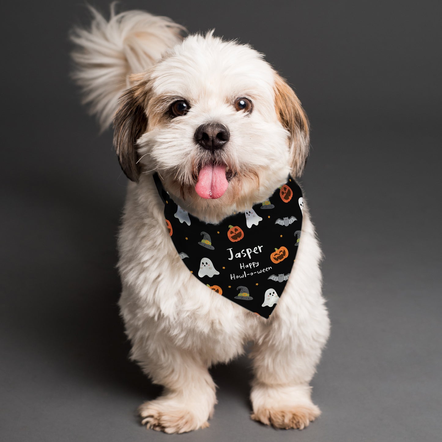 Personalised Tricks for Treats Dog Bandana - Personalise It!