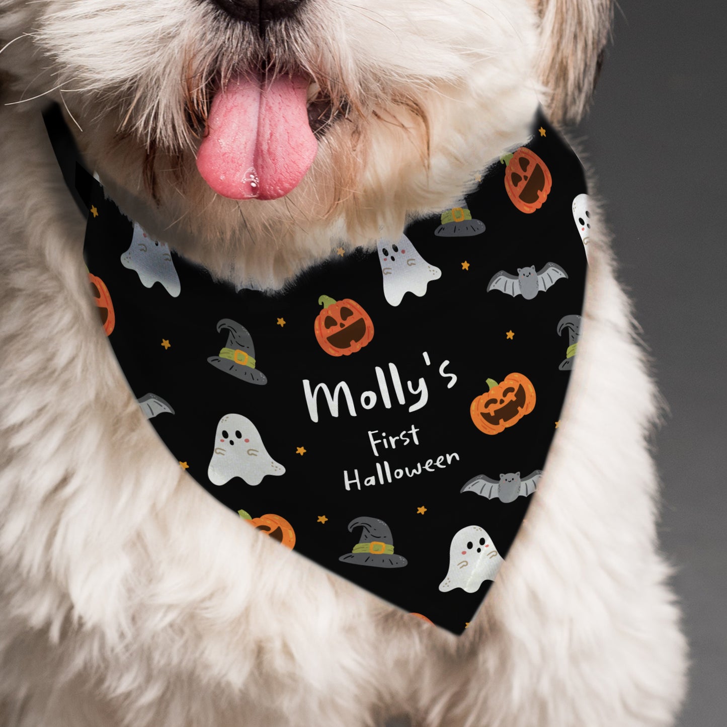 Personalised Tricks for Treats Dog Bandana - Personalise It!