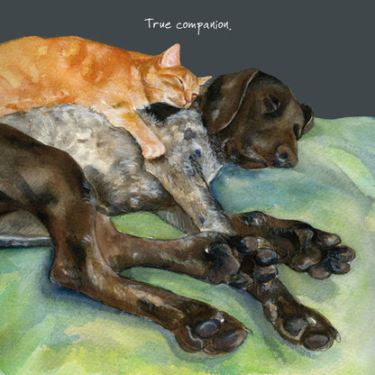 Shorthaired Pointer Little Dog Laughed Greeting Card