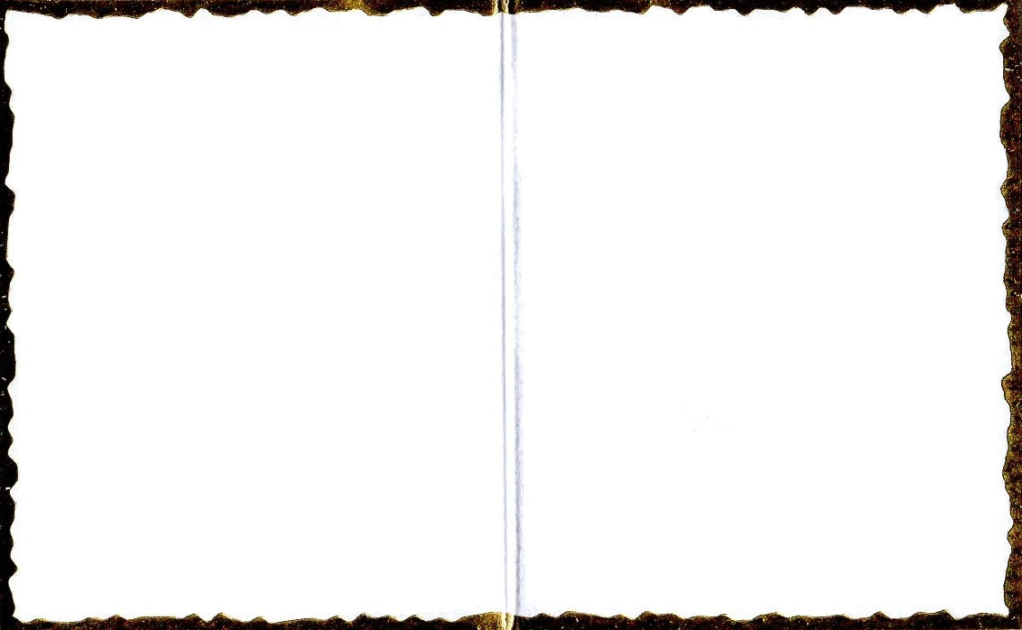 Elephant 3D Special Delivery Animal Greeting Card