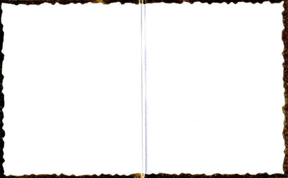 Amber Dragon 3D Special Delivery Animal Greeting Card