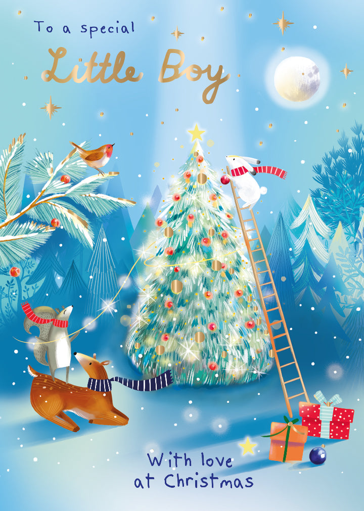 To A Special Little Boy With Love Foiled Christmas Greeting Card