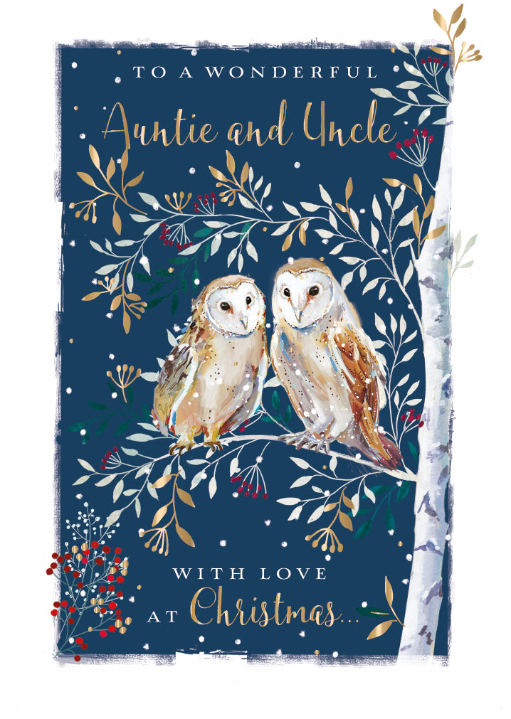 Wonderful Auntie & Uncle Christmas Greeting Card