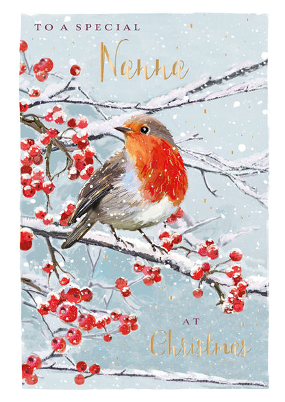 For A Special Nanna Festive Winter Robin Christmas Card