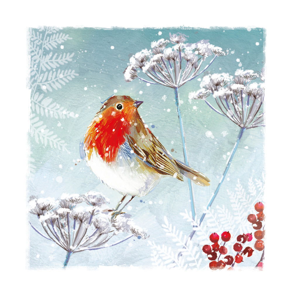 The Wildlife Festive Winter Snowy Robin  Christmas Card