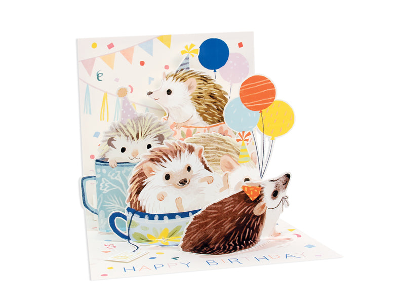 Hedgehog Birthday Party Pop-Up Card Birthday Card