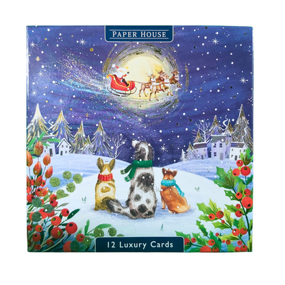 Box of 12 Paper House Festive Dogs Christmas Cards In 3 Designs