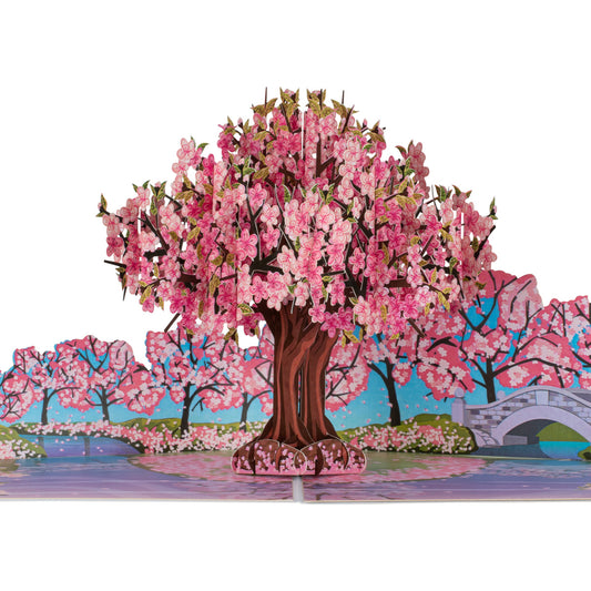 Pink Cherryblossom Pop-Up Any Occasion Greeting Card Blank Inside